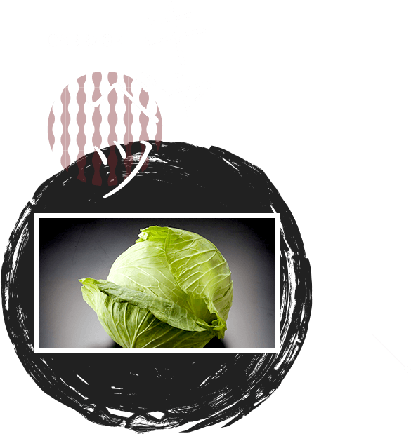 キャベツ